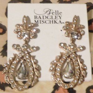 💖Earrings  never worn💜